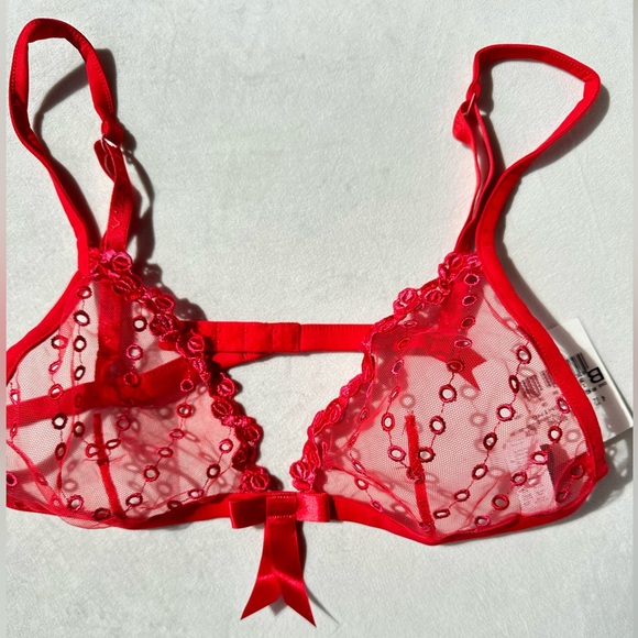 NWT LA PERLA Vintage Red sheer embroidered bra. - Picture 3 of 10